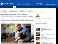 Bild zum Artikel: Nürnbergs erstes Katzencafé eröffnet am Mittwoch