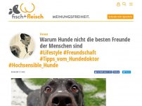 Bild zum Artikel: Warum Hunde nicht die besten Freunde der Menschen sind - von Tierarzt