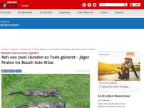 Bild zum Artikel: Besitzer hatte sie nicht angeleint - Reh von zwei Hunden zu Tode gehetzt – Jäger finden im Bauch tote Kitze