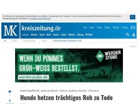 Bild zum Artikel: Hunde hetzen Ricke zu Tode