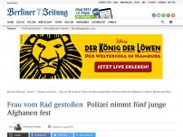 Bild zum Artikel: Frau vom Rad gestoßen: Polizei nimmt fünf junge Afghanen fest