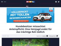 Bild zum Artikel: Hundebesitzer missachtet Anleinpflicht: Eine Hetzjagd endet für das trächtige Reh tödlich