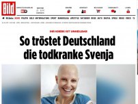 Bild zum Artikel: Ihr Krebs ist unheilbar - So tröstet Deutschland die todkranke Svenja