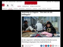 Bild zum Artikel: Asylcamp in Ungarn: 'Das hier ist ein Gefängnis'