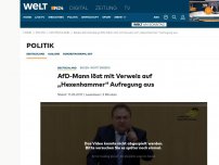 Bild zum Artikel: 'Hexenhammer': AfD-Politiker empfiehlt Frauenverbrennung zur Klima-Rettung