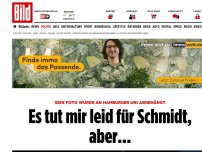 Bild zum Artikel: Foto an Uni abgehängt - Es tut mir leid für Schmidt, aber…