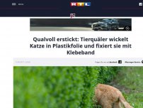 Bild zum Artikel: Qualvoll erstickt: Tierquäler wickelt Katze in Plastikfolie und fixiert sie mit Klebeband