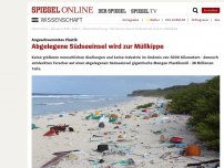 Bild zum Artikel: Angeschwemmtes Plastik: Abgelegene Südseeinsel wird zur Müllkippe