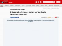 Bild zum Artikel: Am Rande des Trump-Treffens - Brutale Jagszenen in USA: Erdogans Bodyguards treten auf kurdische Demonstranten ein