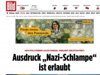 Bild zum Artikel: AfD verliert Rechtsstreit - Ausdruck „Nazi-Schlampe“ ist erlaubt