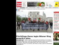 Bild zum Artikel: Flüchtlings-Demo legte Wiener Ring neuerlich lahm