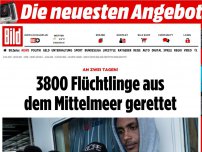 Bild zum Artikel: An zwei Tagen! - 3800 Flüchtlinge aus dem Mittelmeer gerettet