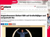 Bild zum Artikel: Tödliche Safari: Angeschossener Elefant fällt auf Großwildjäger und zerquetscht ihn