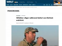 Bild zum Artikel: Simbabwe: Wildtier-Jäger während Safari von Elefant erdrückt