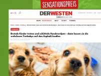 Bild zum Artikel: Brutale Kinder treten und schütteln Hundewelpen - dann lassen sie die wehrlosen Tierbabys auf den Asphalt knallen