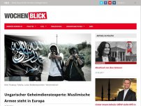 Bild zum Artikel: Ungarischer Geheimdienstexperte: Muslimische Armee steht in Europa - Wochenblick