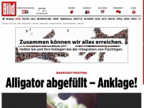 Bild zum Artikel: SnapChat-Posting - Alligator abgefüllt – Anklage!