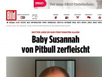 Bild zum Artikel: Mutter ließ es kurz allein - Baby Susannah von Pitbull zerfleischt 