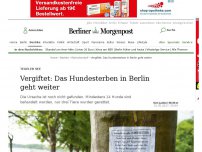 Bild zum Artikel: Tegeler See: Giftköder: Das Hundesterben in Berlin geht weiter