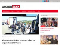 Bild zum Artikel: Migranten-Gewalttäter zerstören Leben von ungarischem LKW-Fahrer