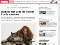 Bild zum Artikel: Wirbel um Projekt: Frau ließ sich Eizelle von Hund in Eizelle einsetzen