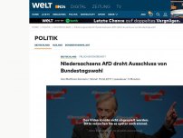 Bild zum Artikel: Fälschungsverdacht: Niedersachsens AfD droht Ausschluss von Bundestagswahl