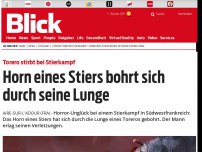 Bild zum Artikel: Torero stirbt bei Stierkampf: Horn eines Stiers bohrt sich durch seine Lunge