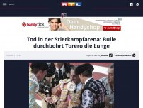 Bild zum Artikel: Tod in der Stierkampfarena: Bulle durchbohrt Torero die Lunge