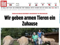 Bild zum Artikel: Ehepaar Braun - Wir geben armen Tieren ein Zuhause