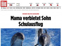Bild zum Artikel: Wegen Delfin-Quälerei - Mama verbietet Sohn Schulausflug