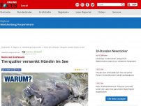 Bild zum Artikel: Riems bei Greifswald  - Tierquäler versenkt Hündin im See
