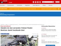 Bild zum Artikel: Riems bei Greifswald - Hündin im See versenkt: Polizei findet Besitzer dank Facebook-User