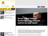 Bild zum Artikel: Recep Tayyip Erdogan: Bunderegierung verbietet Auftritt bei G20-Gipfel
