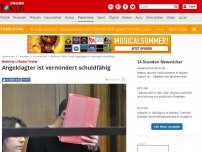 Bild zum Artikel: Wende im Prozess - Gutachter hält Berliner U-Bahn-Treter für vermindert schuldfähig