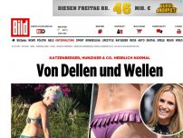 Bild zum Artikel: Katzenberger & Co. - Von Dellen und Wellen