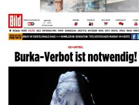 Bild zum Artikel: EU-Urteil - Burka-Verbot ist notwendig!