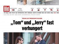 Bild zum Artikel: Drama um Trennungs-Waisen - „Tom“ und „Jerry“ fast verhungert