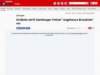 Bild zum Artikel: G20-Gipfel - Ströbele wirft Hamburger Polizei 'ungeheure Brutalität' vor
