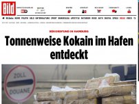 Bild zum Artikel: Rekordfund in Hamburg - Tonnenweise Kokain im Hafen entdeckt