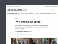 Bild zum Artikel: G20: 'Wie Pitbulls auf Speed'