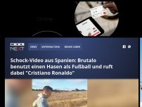 Bild zum Artikel: Schock-Video aus Spanien: Brutalo benutzt einen Hasen als Fußball und ruft dabei 'Cristiano Ronaldo'