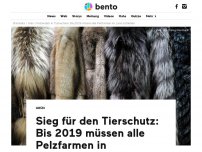 Bild zum Artikel: Bis 2019 müssen alle Pelzfarmen in Tschechien schließen