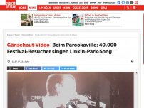 Bild zum Artikel: Gänsehaut-Video: Beim Parookaville: 40.000 Festival-Besucher singen Linkin-Park-Song