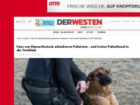 Bild zum Artikel: Fans von Hansa Rostock attackieren Polizisten - und treten Polizeihund in die Tierklinik