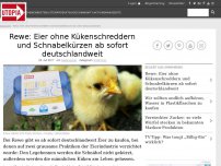 Bild zum Artikel: Rewe: Eier ohne Kükenschreddern und Schnabelkürzen ab sofort deutschlandweit