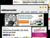 Bild zum Artikel: Gefrorene Promille: Gin Tonic als Eis am Stiel | Männersache