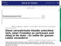 Bild zum Artikel: Dieser Straßenköter entschied sich, einer Fremden zu vertrauen und stieg in ihr Auto – Es sollte ihr ganzes Leben verändern!