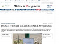 Bild zum Artikel: Unbekannte sollen Hund totgetreten haben