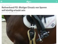 Bild zum Artikel: Reitverband FEI: Blutiger Einsatz von Sporen soll künftig erlaubt sein