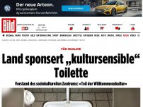 Bild zum Artikel: Hintern weg von Mekka! - Land sponsert kultursensibles Klo